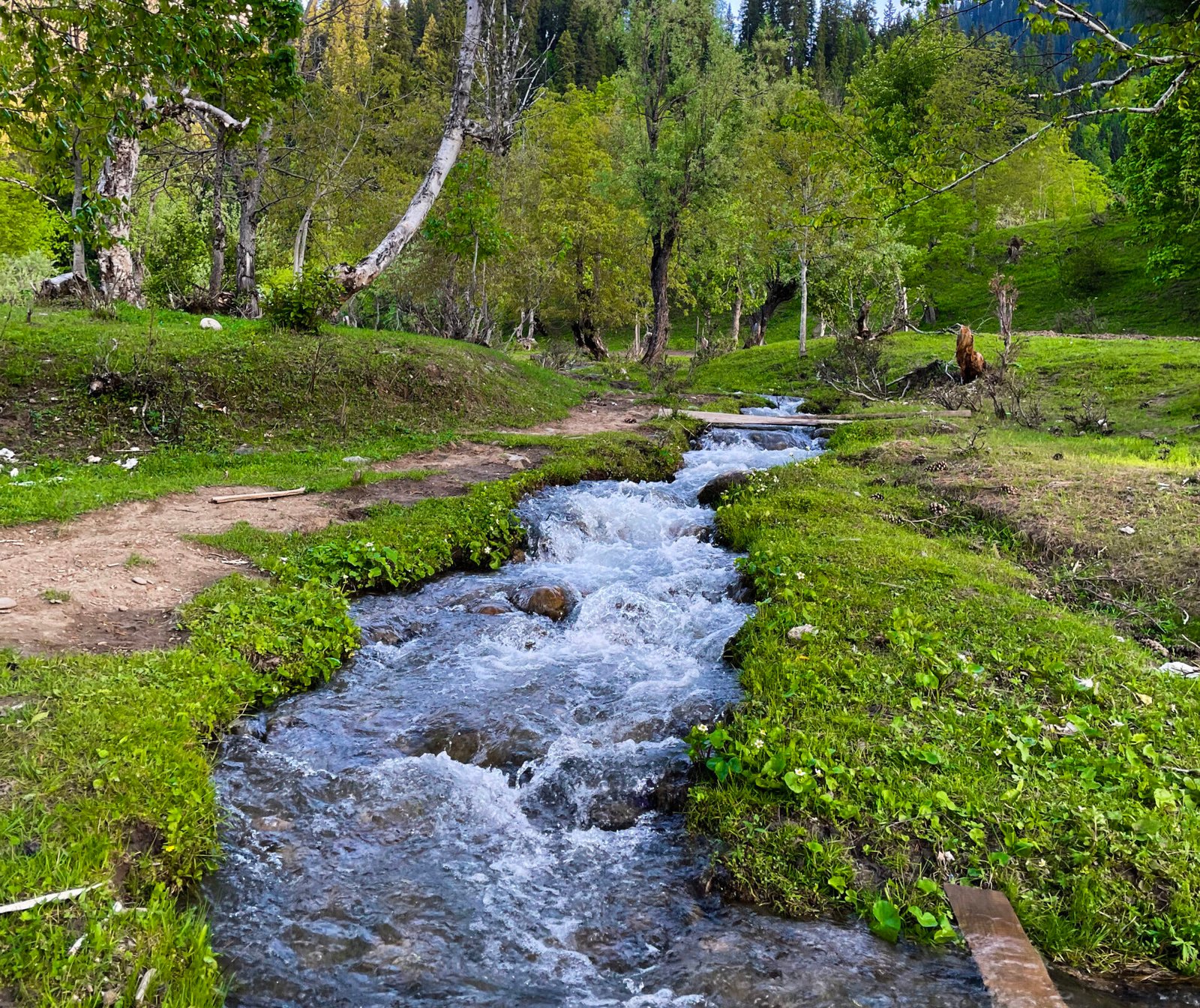 hermosos paisajes de arang kel en cachemira con campos verdes y casas locales ocultas en las nubes scaled e1748294745236