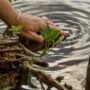paz en la naturaleza la mano de una mujer se sumerge en el agua clara del lago 90x90