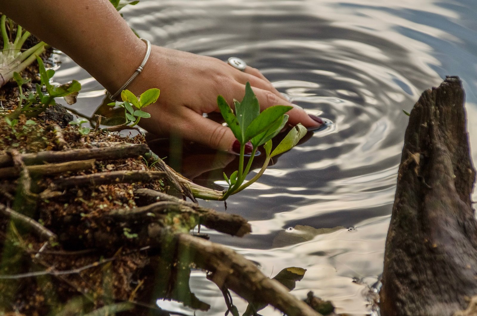 paz en la naturaleza la mano de una mujer se sumerge en el agua clara del lago scaled