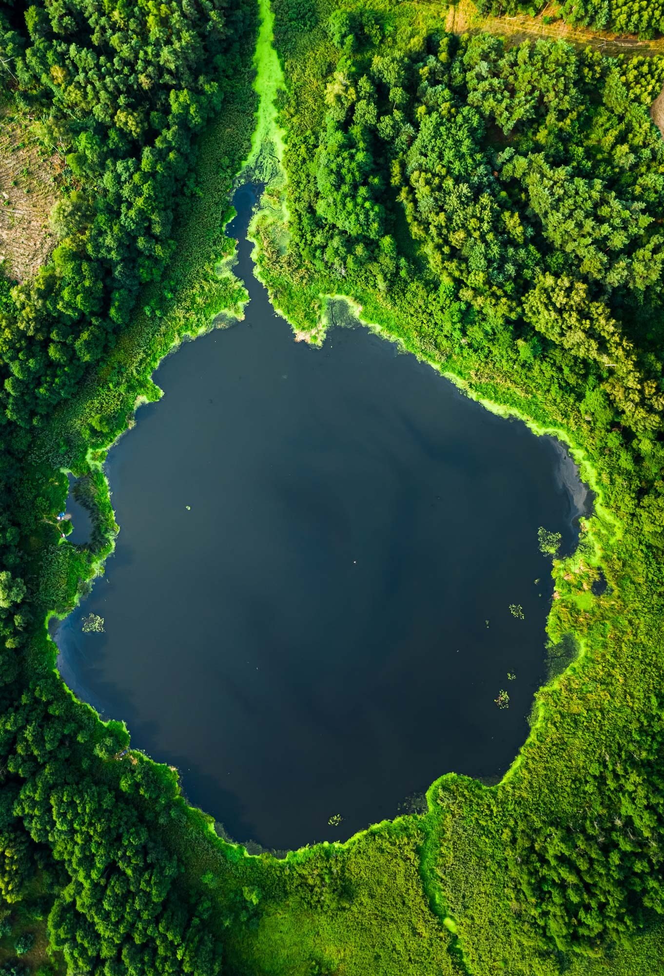 environmetrika laguna e1750601168963