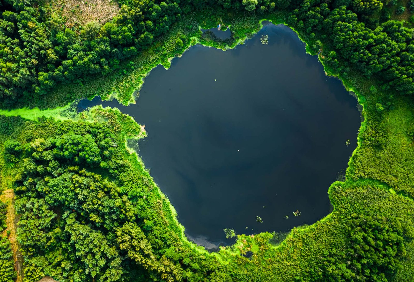 environmetrika laguna