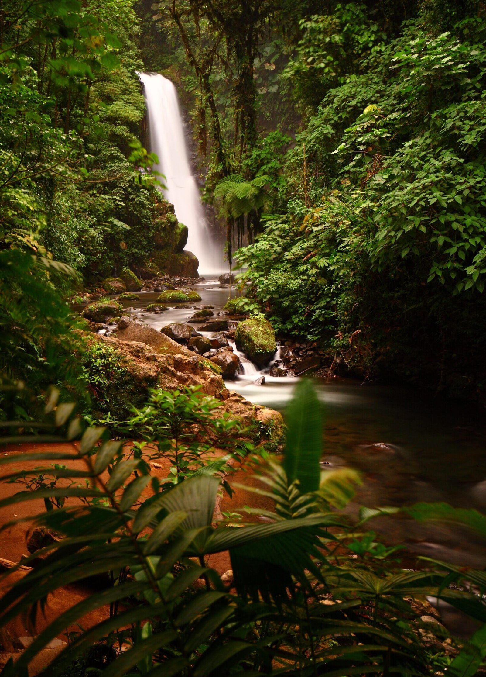 plano general de las majestuosas cascadas de la paz en medio de un frondoso bosque en cinchona costa rica 1 scaled e1750607565500